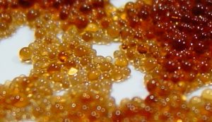 ion exchange resin in water treatment